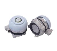 2PCS Car Sensor Hydro Engine Support Motor Mount Kit for S8 A8 D3 2.8 3.0 . V6 2003-2010 4E0199381FP 4E0199381FJ