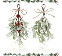 2Pcs Christmas Mistletoe Decorations, Artificial Picks Christmas Ornaments with White Berries Hanging Mistletoe Ornament for Home Door,Fireplaces, Christmas Tree Decor