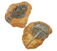 2Pcs Creative Simulation Fossil Decor for Reptile Terrarium Natural Landscape Accessories for Snakes Lizards and Geckos for Enhancing