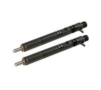 2PCS Delphi CRDI Diesel Fuel Injector EJBR02901D Compatible with Hyundai Terracan Compatible with KIA Carnival Compatible with Sedona 2.9 33800-4X800