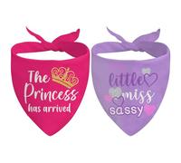 2Pcs Dog Bandanas for Puppy Small Large, Princess Sassy Pet Scarf Gifts for Dog Lovers, Clothing & Accessories for Dogs, Gift for Dogs Birthday