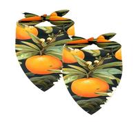 2PCS Dog Bandanas, Washable Dog Bibs Triangle Pet Scarf Kerchief Bandanas Accessories for Small Medium Large Girl Boy Puppy Cats, Oranges Fruit