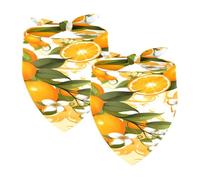 2PCS Dog Bandanas, Washable Dog Bibs Triangle Pet Scarf Kerchief Bandanas Accessories for Small Medium Large Girl Boy Puppy Cats, Oranges Fruit
