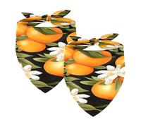 2PCS Dog Bandanas, Washable Dog Bibs Triangle Pet Scarf Kerchief Bandanas Accessories for Small Medium Large Girl Boy Puppy Cats, Oranges Fruit