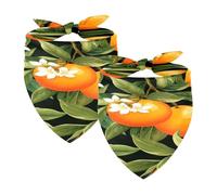 2PCS Dog Bandanas, Washable Dog Bibs Triangle Pet Scarf Kerchief Bandanas Accessories for Small Medium Large Girl Boy Puppy Cats, Oranges Fruit