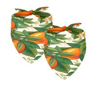 2PCS Dog Bandanas, Washable Dog Bibs Triangle Pet Scarf Kerchief Bandanas Accessories for Small Medium Large Girl Boy Puppy Cats, Oranges Fruit