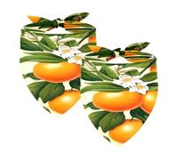 2PCS Dog Bandanas, Washable Dog Bibs Triangle Pet Scarf Kerchief Bandanas Accessories for Small Medium Large Girl Boy Puppy Cats, Oranges Fruit