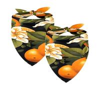 2PCS Dog Bandanas, Washable Dog Bibs Triangle Pet Scarf Kerchief Bandanas Accessories for Small Medium Large Girl Boy Puppy Cats, Oranges Fruit