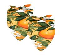 2PCS Dog Bandanas, Washable Dog Bibs Triangle Pet Scarf Kerchief Bandanas Accessories for Small Medium Large Girl Boy Puppy Cats, Oranges Fruit