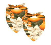 2PCS Dog Bandanas, Washable Dog Bibs Triangle Pet Scarf Kerchief Bandanas Accessories for Small Medium Large Girl Boy Puppy Cats, Oranges Fruit