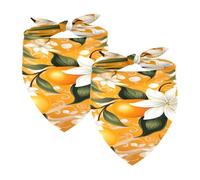 2PCS Dog Bandanas, Washable Dog Bibs Triangle Pet Scarf Kerchief Bandanas Accessories for Small Medium Large Girl Boy Puppy Cats, Oranges Fruit