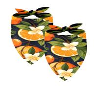 2PCS Dog Bandanas, Washable Dog Bibs Triangle Pet Scarf Kerchief Bandanas Accessories for Small Medium Large Girl Boy Puppy Cats, Oranges Fruit