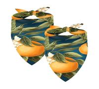 2PCS Dog Bandanas, Washable Dog Bibs Triangle Pet Scarf Kerchief Bandanas Accessories for Small Medium Large Girl Boy Puppy Cats, Oranges Fruit