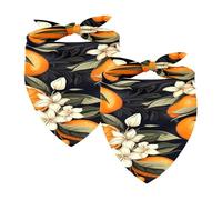2PCS Dog Bandanas, Washable Dog Bibs Triangle Pet Scarf Kerchief Bandanas Accessories for Small Medium Large Girl Boy Puppy Cats, Oranges Fruit