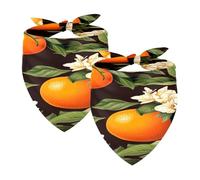 2PCS Dog Bandanas, Washable Dog Bibs Triangle Pet Scarf Kerchief Bandanas Accessories for Small Medium Large Girl Boy Puppy Cats, Oranges Fruit