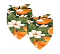 2PCS Dog Bandanas, Washable Dog Bibs Triangle Pet Scarf Kerchief Bandanas Accessories for Small Medium Large Girl Boy Puppy Cats, Oranges Fruit