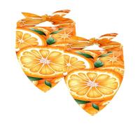 2PCS Dog Bandanas, Washable Dog Bibs Triangle Pet Scarf Kerchief Bandanas Accessories for Small Medium Large Girl Boy Puppy Cats, Oranges Fruit