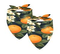 2PCS Dog Bandanas, Washable Dog Bibs Triangle Pet Scarf Kerchief Bandanas Accessories for Small Medium Large Girl Boy Puppy Cats, Oranges Fruit