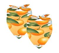 2PCS Dog Bandanas, Washable Dog Bibs Triangle Pet Scarf Kerchief Bandanas Accessories for Small Medium Large Girl Boy Puppy Cats, Oranges Fruit