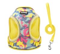 2Pcs Dog Harness and Leash Set, No Pull Step-in Puppy Harness Set with Lead for Extra Small/Small/Medium Dogs Walking Training Daily