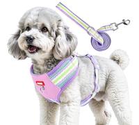 2Pcs Dog Harness Set, Comfortable No Pull Dog Harness, Adjustable Breathable Pet Vest Harness with Leash, Escape Proof Dogs Harness for Training & Walking