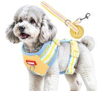 2Pcs Dog Harness Set, Comfortable No Pull Dog Harness, Adjustable Breathable Pet Vest Harness with Leash, Escape Proof Dogs Harness for Training & Walking
