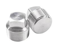 2Pcs Drain Pipe Fitting Plug, Stainless Steel Outer Hex Thread Socket Pipe Plug Solid Water Drain End Caps Coupling Adapter for Water Heater Supply Lines, Plumbing (1/8")
