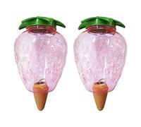 2pcs Drip Irrigation System Strawberry Automatic Self Watering Spikes For Plant Indoor Outdoor Potted Plant Irrigation Potted Plant Water Reservoir