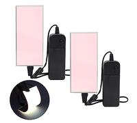 2Pcs Electroluminescent Light Sheet DIY EL Cuttable 12cm x 5cm Electroluminescent EL Panel Light for Decoration/Warning Constant bright/Fast flashing/slow flashing Three modes (White)