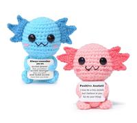 2Pcs Emotional Support Gift, Positive Crochet Axolotl Gifts, Emotional Support Crochet Dolls, Creative Cute Crochet Doll for Friends, Women, Student, Christmas