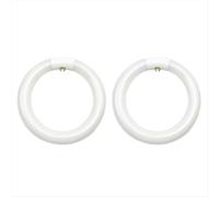 2pcs FC8T9/CW Circular Fluorescent Light Bulb,8Inch Round T9 22W Circline Bulbs Replacement for Circle Ceiling Fixture
