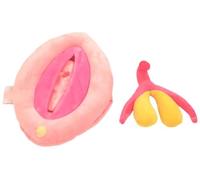 2pcs Female Anatomical Vulva Model External Reproductive System Assembly for Studying and Communication Classroom Display Teaching Nursing Practice & Anatomy Course Study
