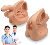 2PCS Female and Male Genital Anatomy Models Set, PVC Catheter Insertion Model with Digital Anatomy Markings Catheterization Model for Education Training