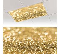 2Pcs Fluorescent Light Covers Decorative Light Cover for Drop Ceiling Lamps | 4x2FT Gold Glitter Sparkle Spot Magnetic Light Filter for Classroom Office Home Polyester Ceiling Supplies with 10 Magnets