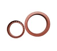 2Pcs Fluoro Rubber TC Oil Seal Inner Diameter 75mm, Outer Diameter 100mm, Thickness 12mm, Brown