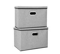 2Pcs Foldable Storage Box With Lids 45X30X30Cm Large Collapsible Storage Cube Gray