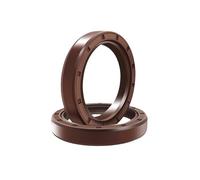 2Pcs Framework Oil Seal ID 15mm 16mm 17mm 18mm 19mm OD 21-47mm Thickness 4-10mm Fluoro Rubber Gasket Rings(19X30X5)