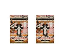 2PCS Funky Halloween Border Collie Dog Kitchen Hand Dish Towels Set, Fun Scary Ghost Skeleton Print Quick Dry Dishcloths, Spooky Housewarming Gift for Cooking Kitchen Bathroom Decor