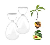 2pcs Glass Avocado Tree Flower Vases, Avocado Seed Starter Vase Glass Vases Avocado Tree Growing Kit Seed Hydroponic Vase Home Table Decor
