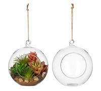 2pcs Glass Globe Terrarium Hanging Display for Moss and Flowers | Glass, Smooth Scratch-free Finish, Space-saving Indoor Decor, Wedding Styling, Modern Minimalist Look