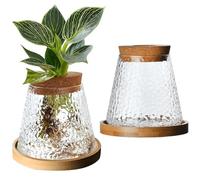 2Pcs Glass Plant Pot Decorative Clear Plant Propagation Station with Perforated Cork & Bamboo Tray for Growing Hydroponic Plants, Glass Pot, Terrarium Jar
