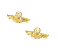 2Pcs Gold Aviator Wings Pin Metal Airplane Pilot Badge for Flight Attendant Costume Flight School Graduation Gifts