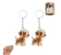 2Pcs Golden Retriever Dogs Keyring, Dog Fur Hair Keychain, Pet Collector Keychains, Fur Keepsakes Memorial with Gold Keyrings, Transparent Portable Ideal Pet Lovers Memory Gifts for Dogs