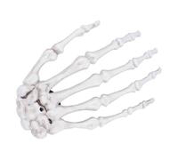 2pcs Halloween Skeleton Claw Hair Clip PE Bone Hairpin | Large Chic Creative Skeleton Hand Design, Selfie Prop, Hair Accessory for Halloween Party Styling