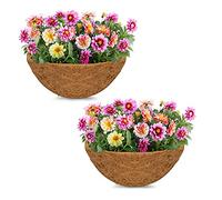 2PCS Hanging Basket Coco Liner 8 inch Deep Coco Wall Planter Liner Round Coco Fiber Liner Pre-Formed Replacement Basket Shaped Liner Natural Coconut Fiber Liner