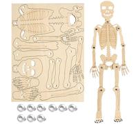 2PCS Human Skeleton Assembly Kits Set Learning Tool for Classroom Experiment Interactive Biology Study Project Skeleton Assembly Kits