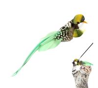 2pcs Interior Cat Toys - Cat Toys with Feathers and Cats - Cat Stick Toy, Replacement Sticks for Chewing in Indoor Facts