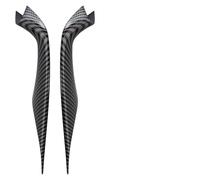 2PCS Interior Left Right Door Pull Handle Inside Cover Panel Trim for BMW 5 Series G30 G31 G38 2018-2023 20 * 5 * 5cm(Carbon Fiber)