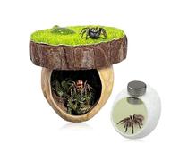 2Pcs Jumping Spider Accessories, Natural Walnut Magnetic Jumping Spiders Hide with Silk Cocoons Climbing Platform Enclosure for Small Insects Habitats