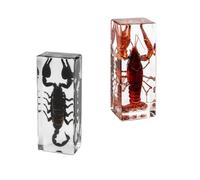 2Pcs Large Real Animal Specimens (4.3x1.69x1.1 inches) - Taxidermy Scorpion and Lobster Preserved in Resin for Science Education, Desk Decor and Oddity Gifts Collection